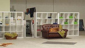 Auch Hunde können sich mal langweilen.