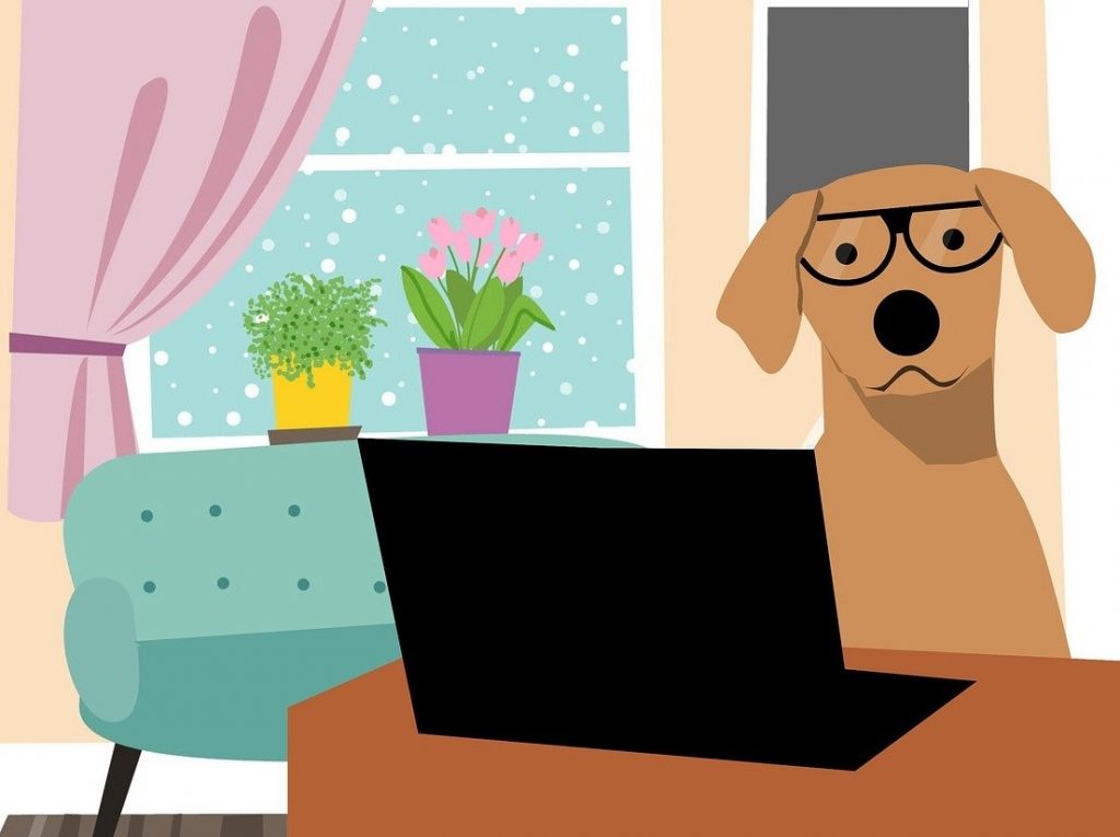 Online buchen